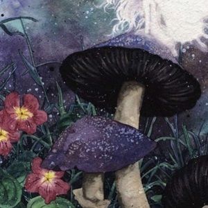 Meet your Posher, Mason